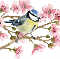 Paperproducts Servietten 25x25 cm Oiseau Printemps 