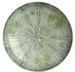 Arthur Krupp Teller tief 22 cm Fusion Grey 