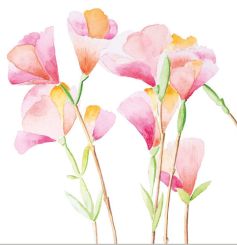 Paperproducts Servietten 25x25 cm Godesias 