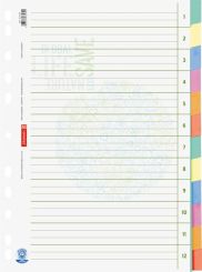 Brunnen Ringbuchregister A4 12tlg Blauer Engel 