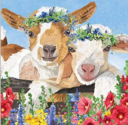 Paperproducts Servietten 25x25 cm Gary & Gracie 