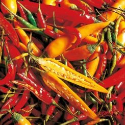 Paperproducts Design Servietten 33x33 cm Mixed Chillies 