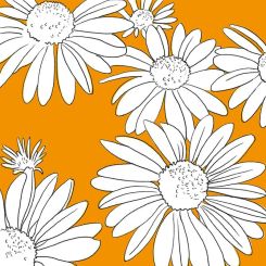 Paperproducts Design Servietten 33x33 cm Peggy orange 