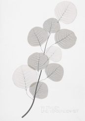 Räder Beileidskarte In Trauer und Verbundenheit 