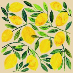 Paperproducts Servietten 33x33 cm Tracey´s Citronella eco 