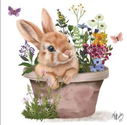 Paperproducts Servietten 25x25 cm Colette 