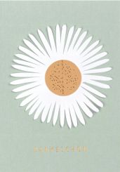 Räder Faltkarte Dankeschön 