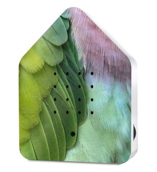 Relaxhound Zwitscherbox LE Spring 24 Green Feathers 