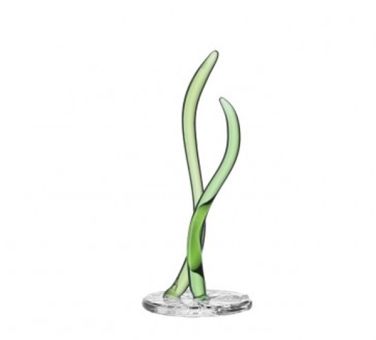 Leonardo Mare Seegras 12 cm Grün 