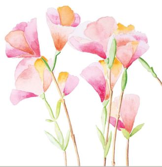 Paperproducts Servietten 25x25 cm Godesias 