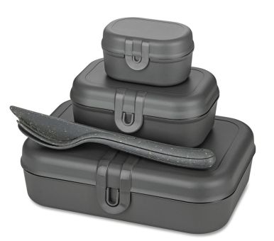 Koziol Lunchbox-Set + Besteck-Set Pascal Ready nature ash grey 