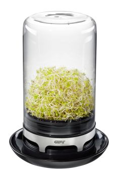 Gefu Sprossenglas Bivita 