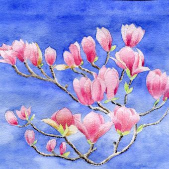 Paperproducts Servietten 33x33 cm Magnolia 