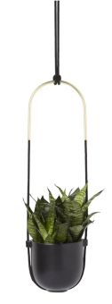Umbra Pflanztopf hängend Bolo schwarz 