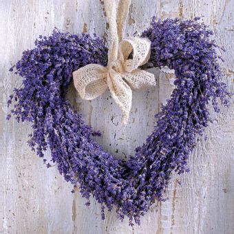 Paperproducts Design Servietten 33x33 Lavender Heart 