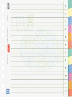 Brunnen Ringbuchregister A4 12tlg Blauer Engel 