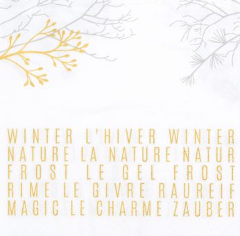 Räder Serviette 33x33cm Winter 3 sprachig 