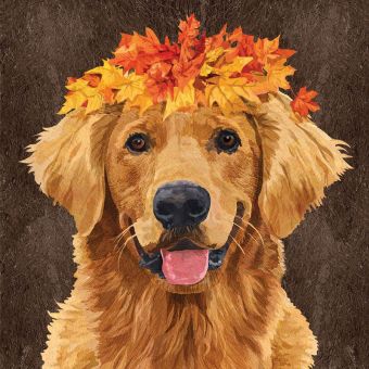 Paperproducts Servietten 25x25 cm Enzo 