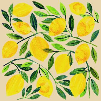 Paperproducts Servietten 33x33 cm Tracey´s Citronella eco 