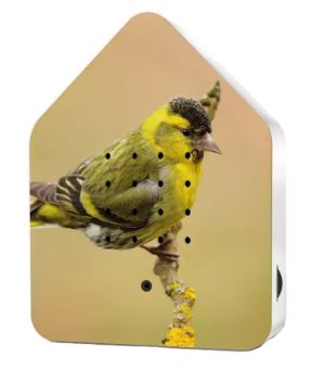 Relaxhound Zwitscherbox LE Spring 24 Eurasian Siskin 