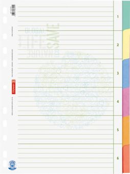 Brunnen Ringbuchregister A4 6tlg Blauer Engel 