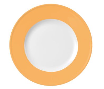 Dibbern Solid Color Mandarine Teller Flach 21 cm Fahne 