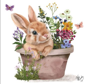 Paperproducts Servietten 25x25 cm Colette 